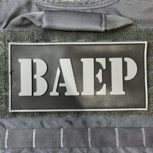 PLACA BAEP