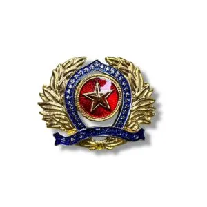 INSIGNA BOINA
